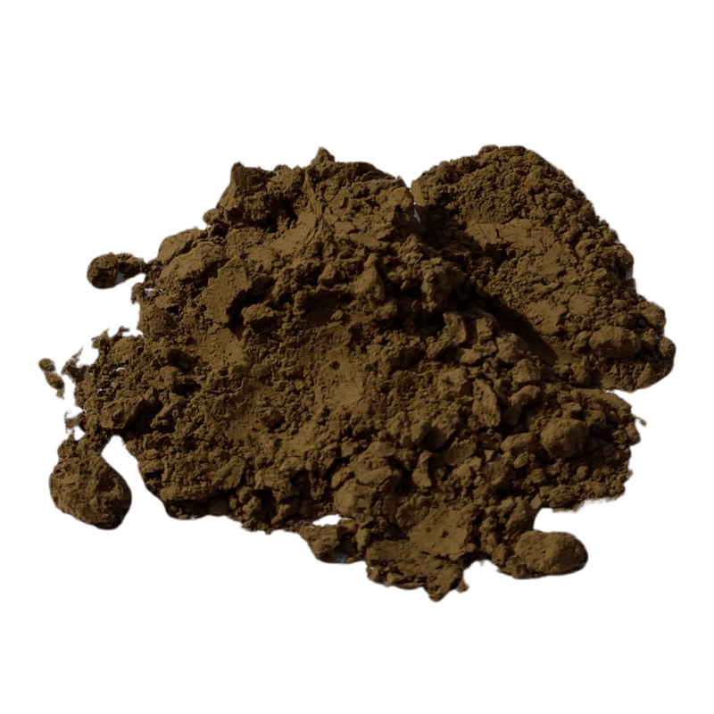 Hojicha malt - Matchasome